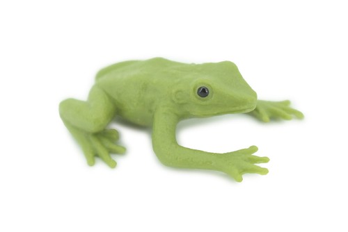Green tree frog dumpy - green,
