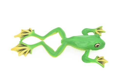 Green tree frog - tree,