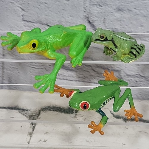 Tropical tree frogs bullfrog - tropical,